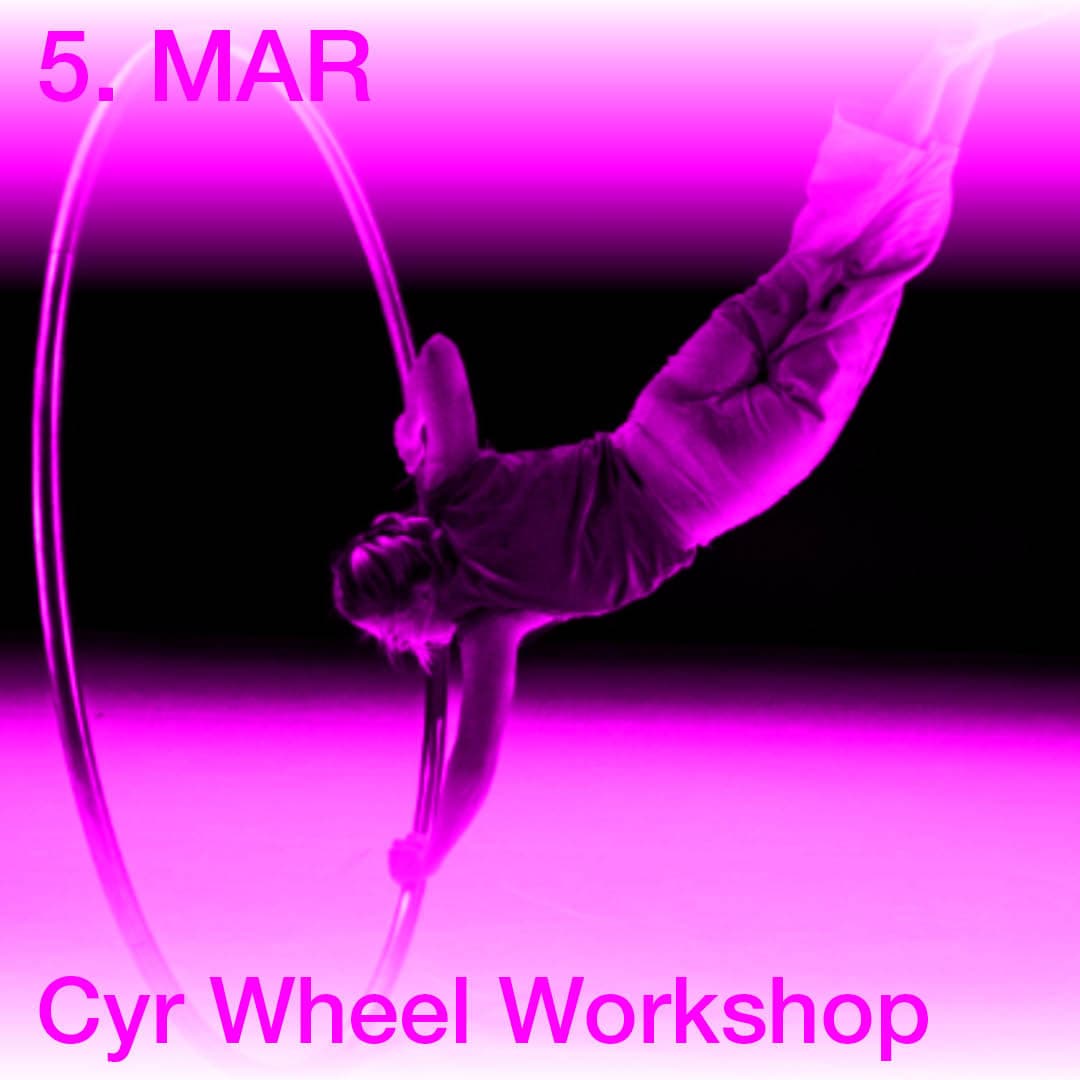 Cyr Wheel Workshop