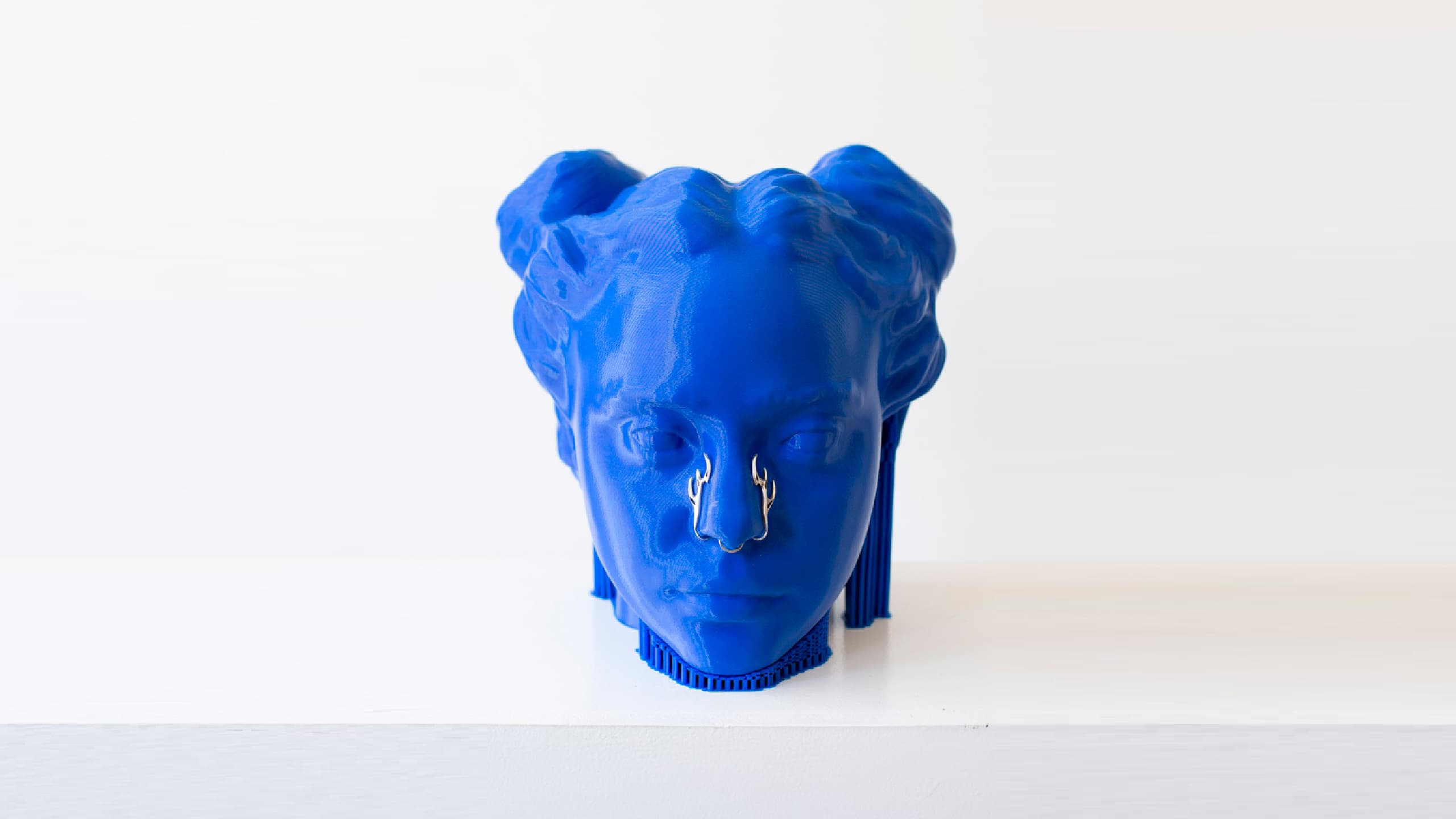 3D Scan, 3D Sculpt, 3D Bio Plastic Print,  Silver appliques