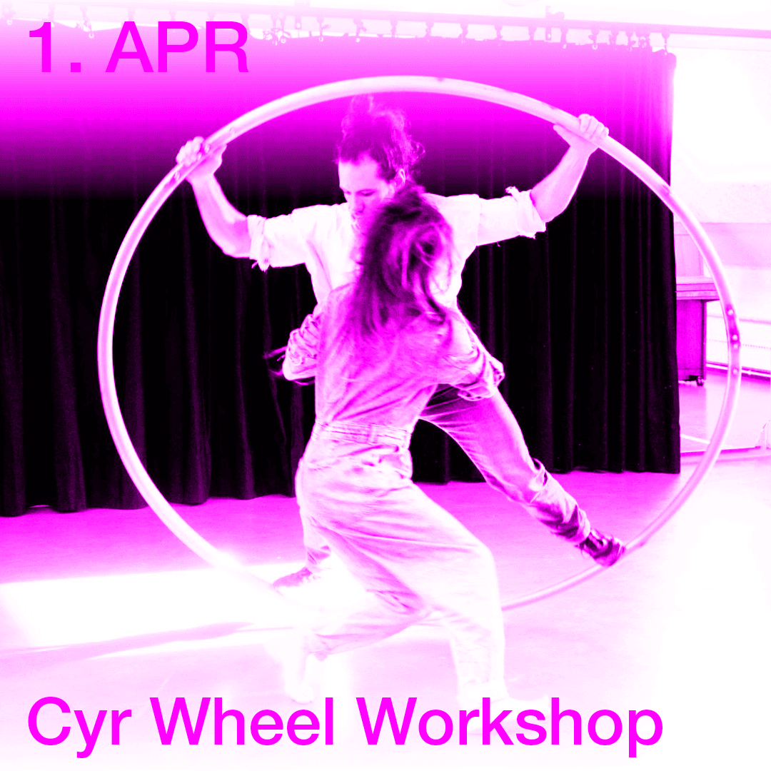 Cyr Wheel Workshop